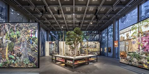 fondation cartier les arbres